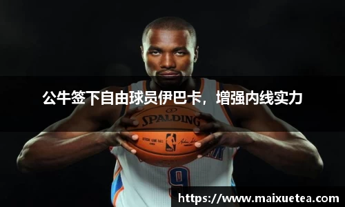 公牛签下自由球员伊巴卡，增强内线实力